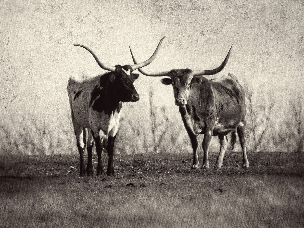 Texas Longhorns