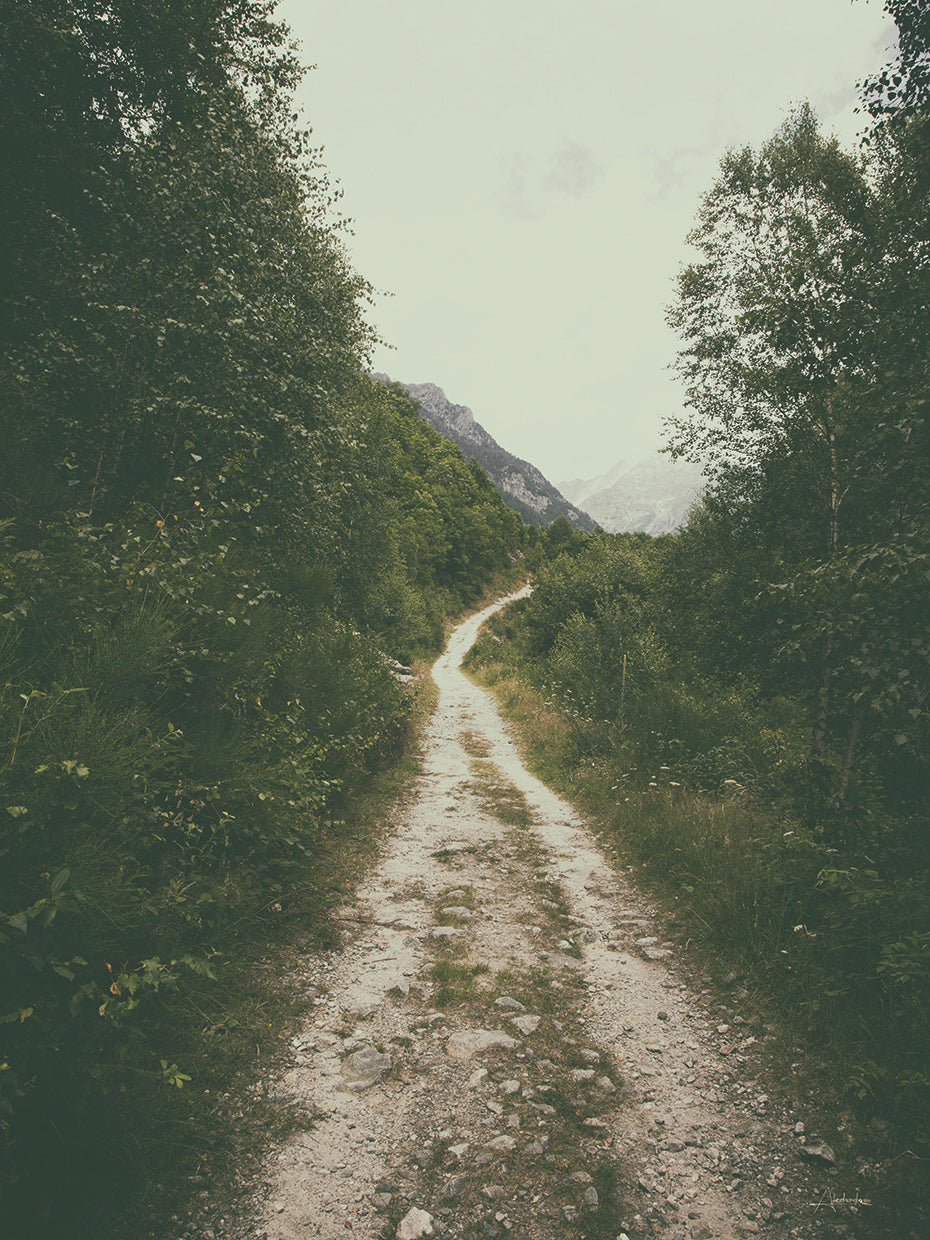 The Path We Followed