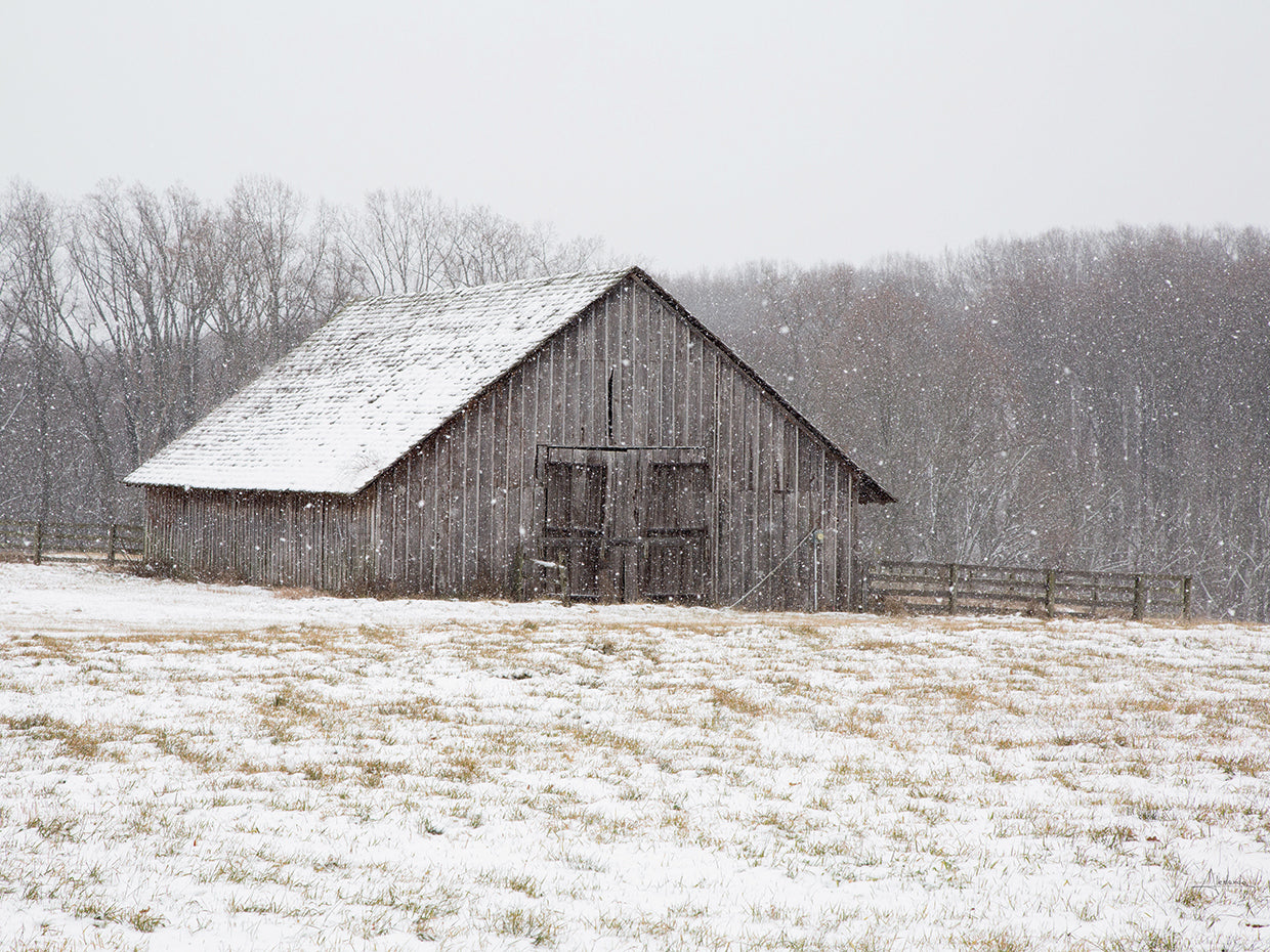 First Snow