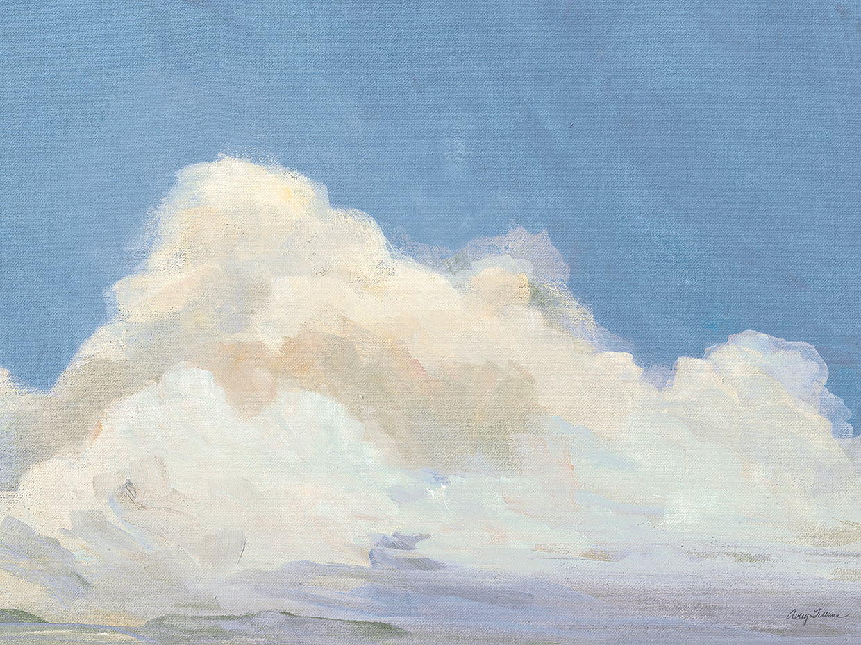 Clouds Over Low Tide