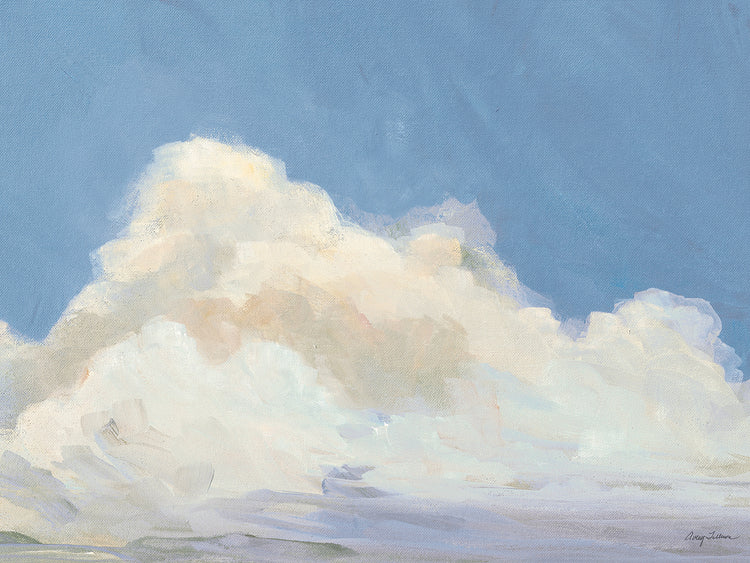 Clouds Over Low Tide