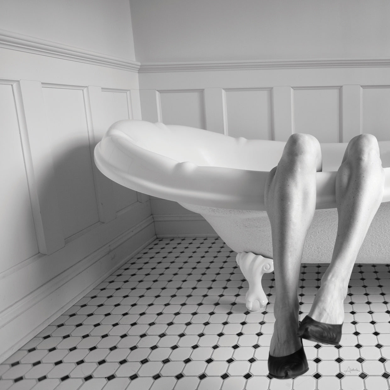 Legs