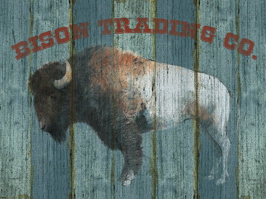 Bison Trading Co Canvas Print