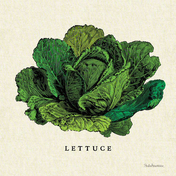 Linen Vegetable II v2