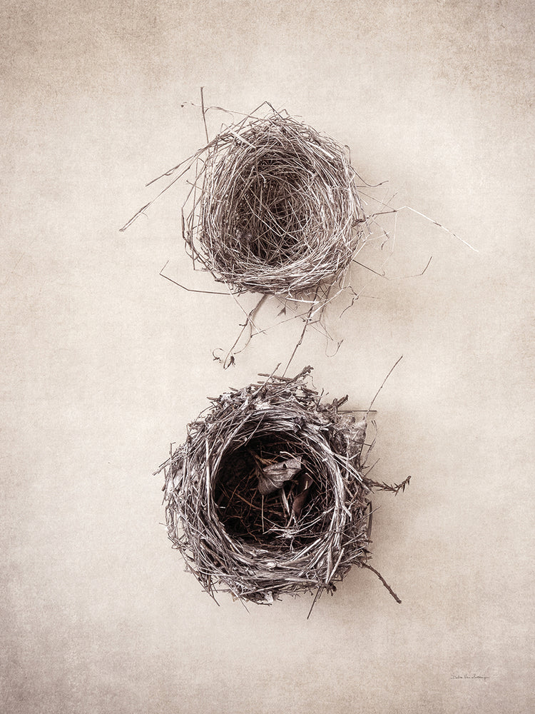 Nest IV