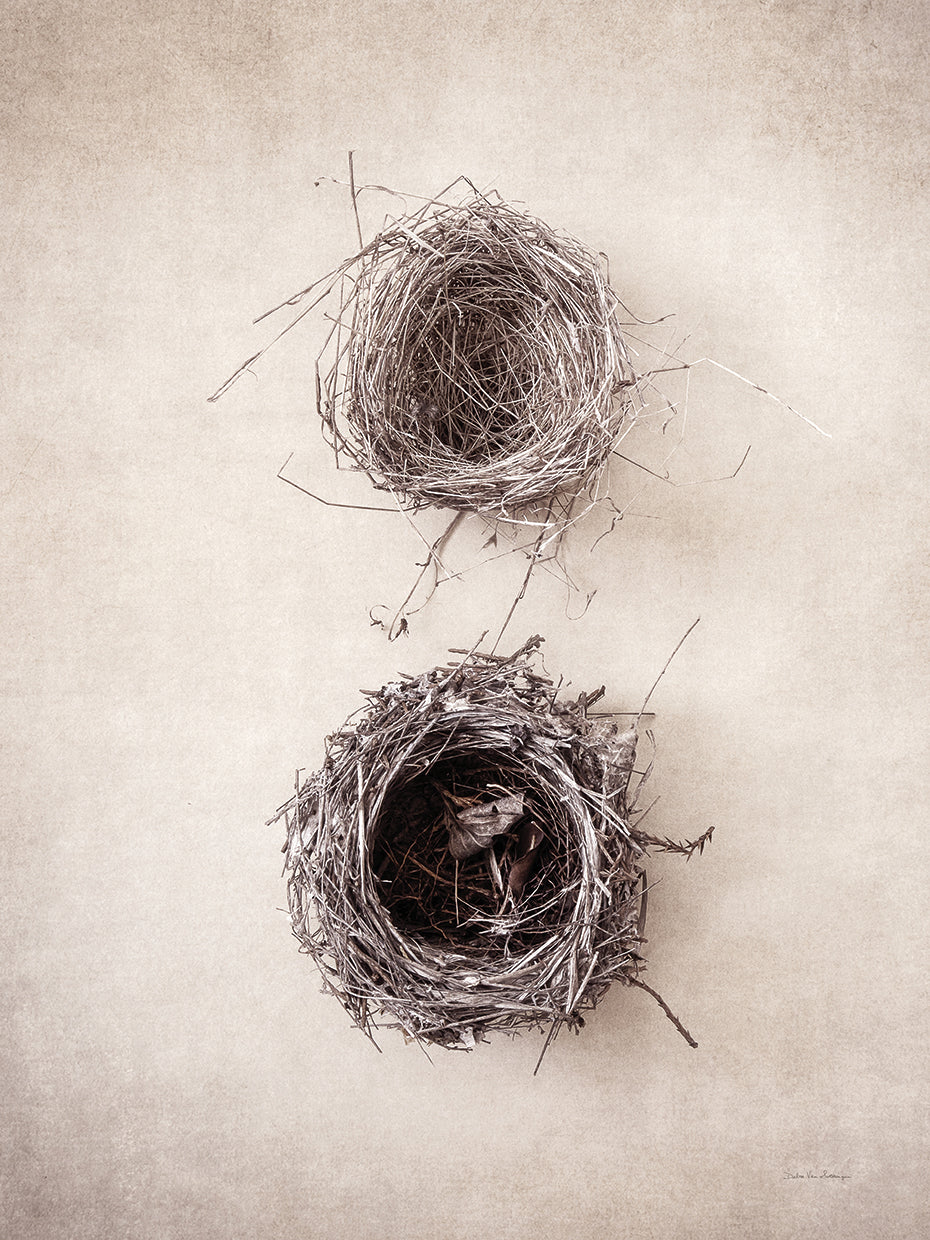 Nest IV