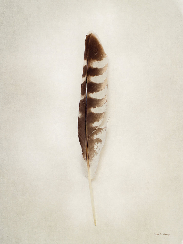 Feather IV