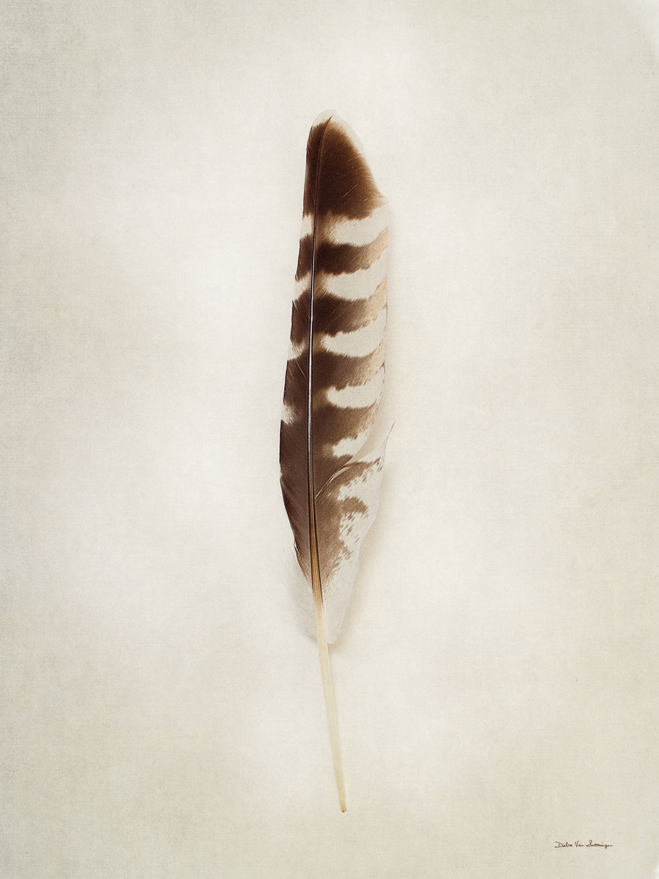 Feather IV