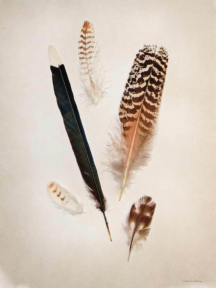 Feather Group II