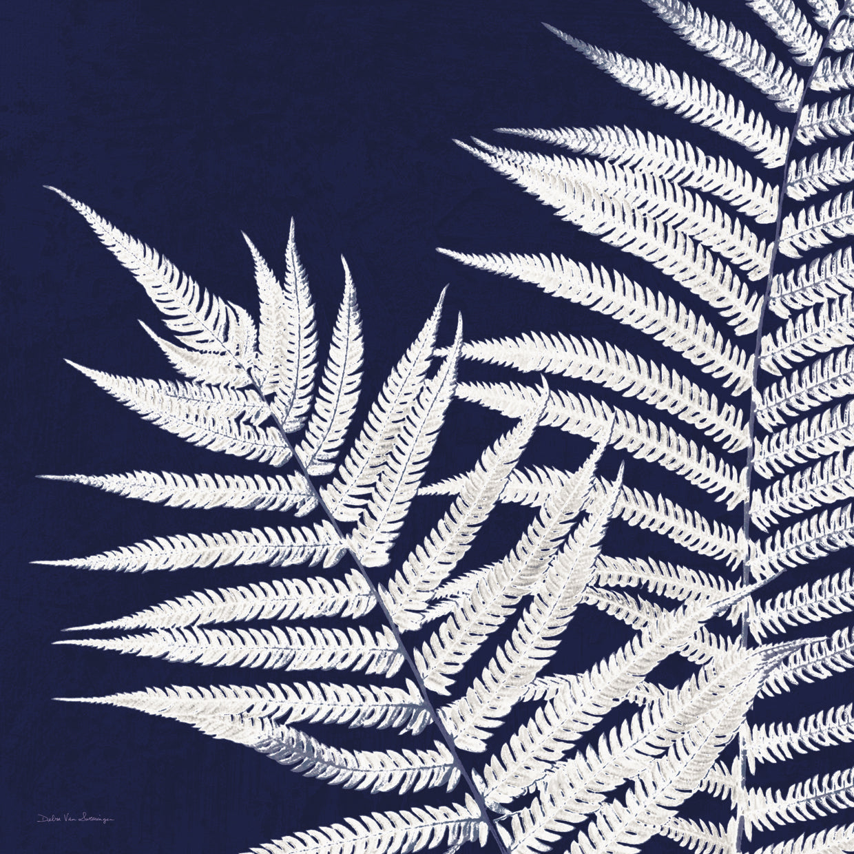 Aspire Blueprint Crop