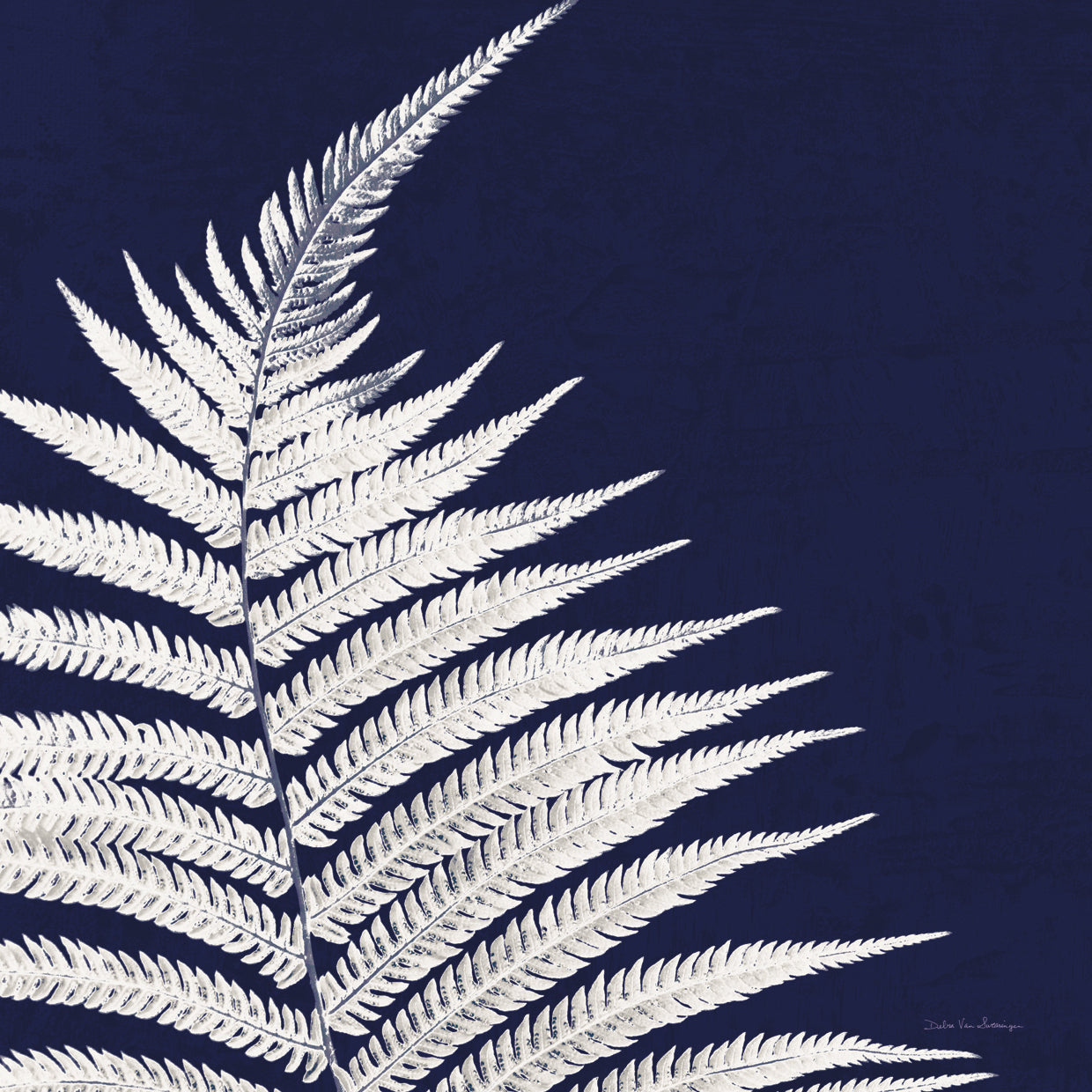 Truth Blueprint Crop