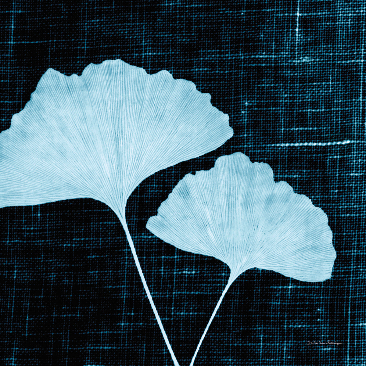 Leaves on Linen I