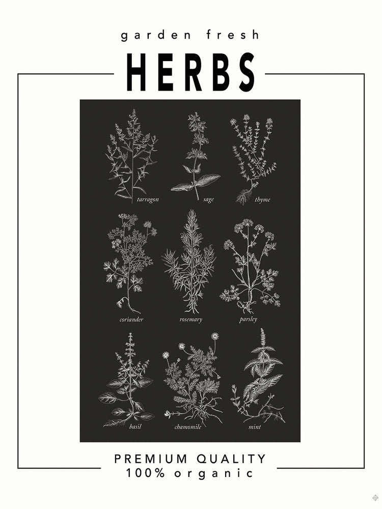 Simple Living Kitchen 1