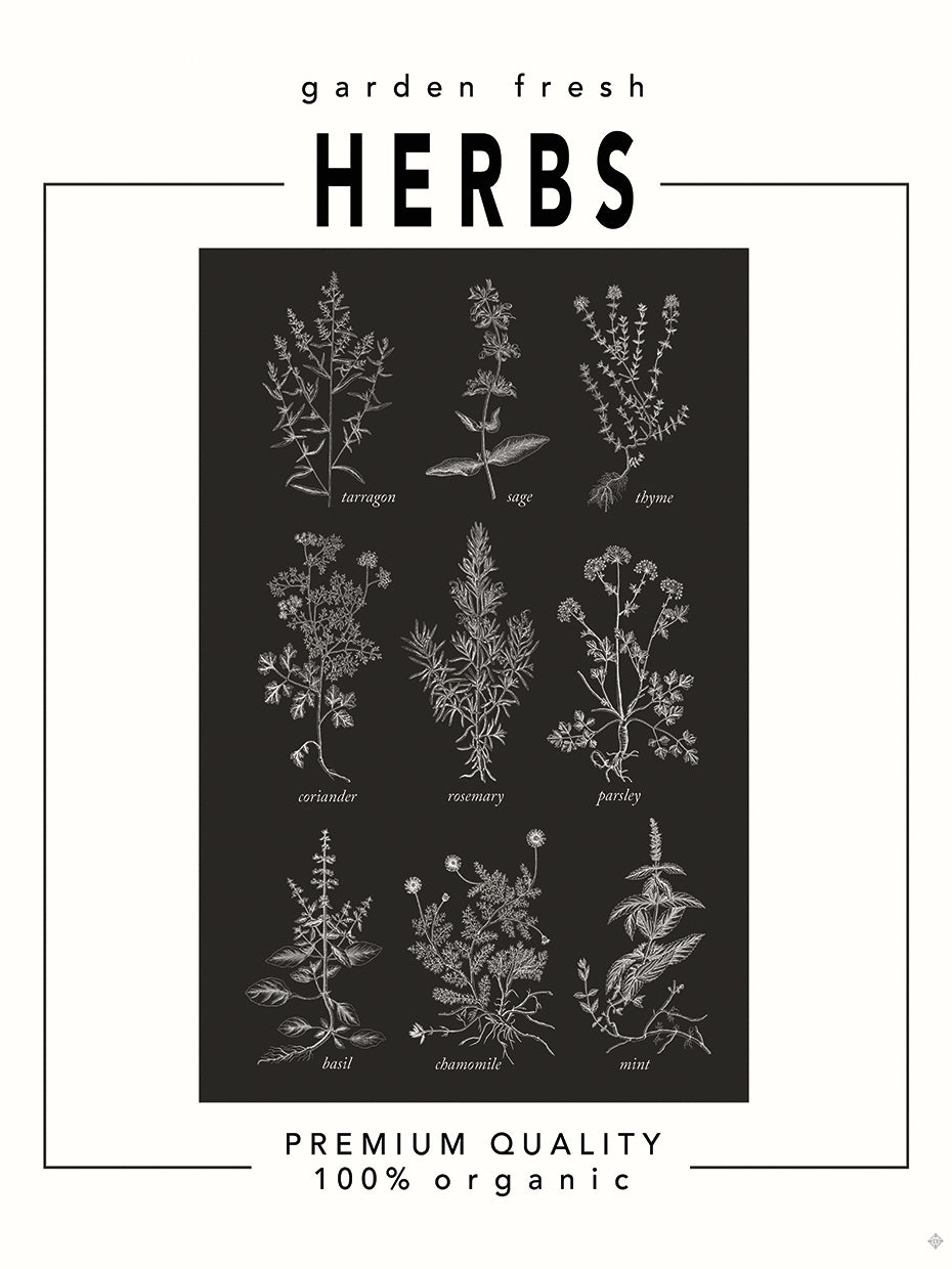 Simple Living Kitchen 1