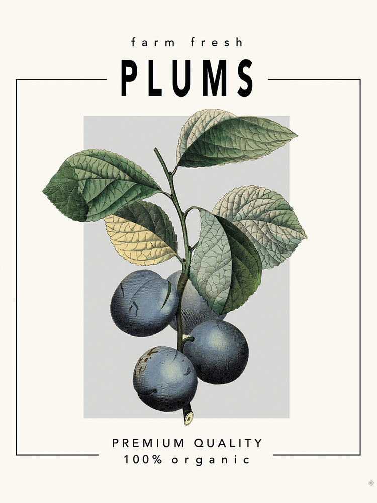 Simple Living Kitchen 2