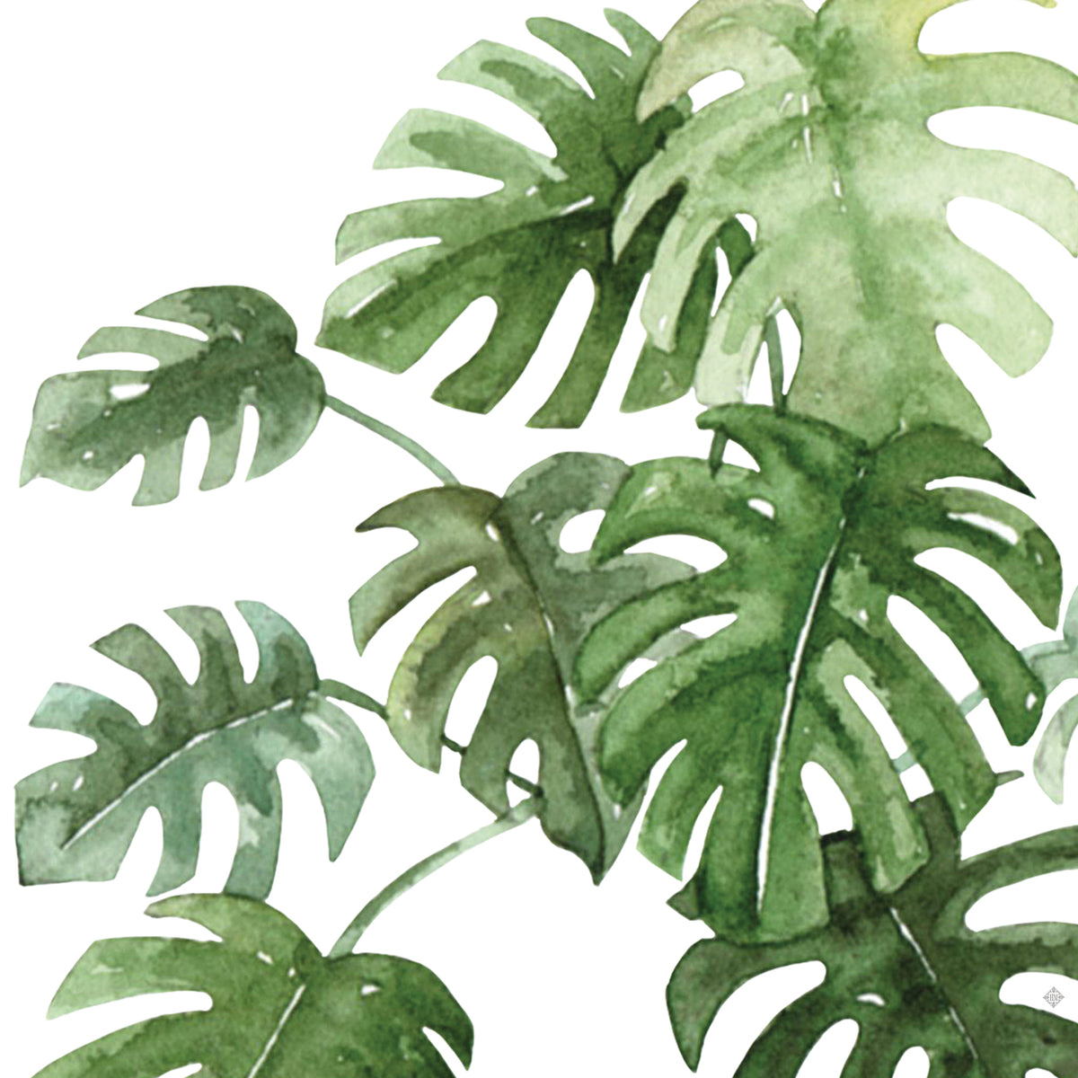 Wild Abundance 1