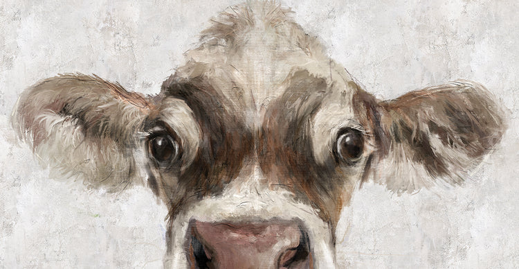 Cow Peek