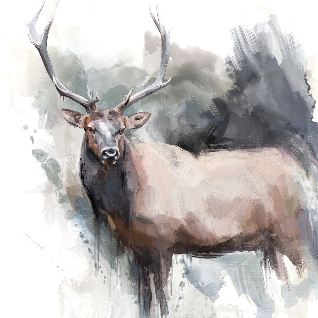 Elk Portrait