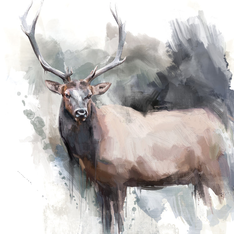 Elk Portrait