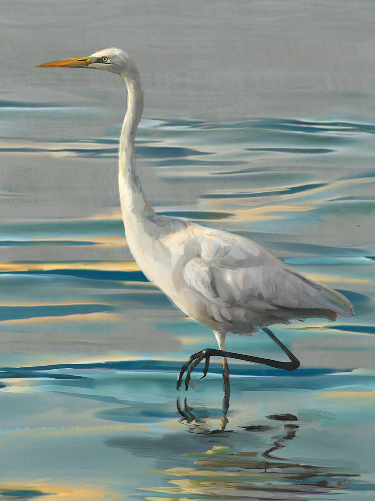Evening Egret II