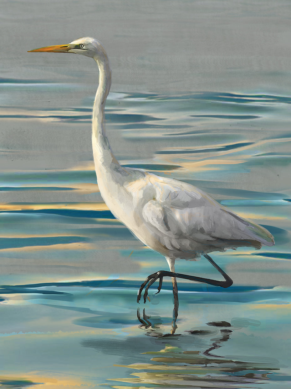 Evening Egret II