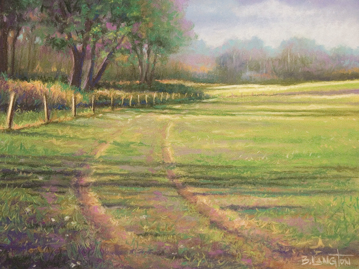 Mid Evening Shadows