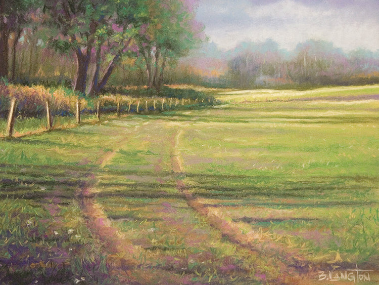 Mid Evening Shadows