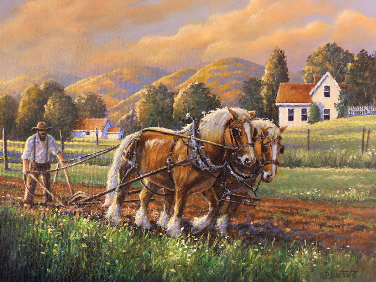 Morning Chores