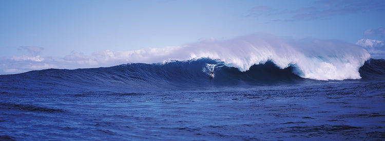 Surfer in the sea, Maui, Hawaii, USA