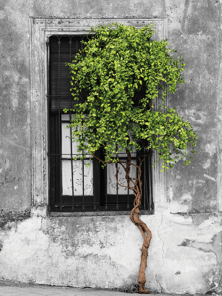 Árbol pop de color verde Lienzo