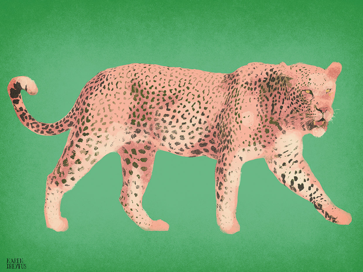Leopard