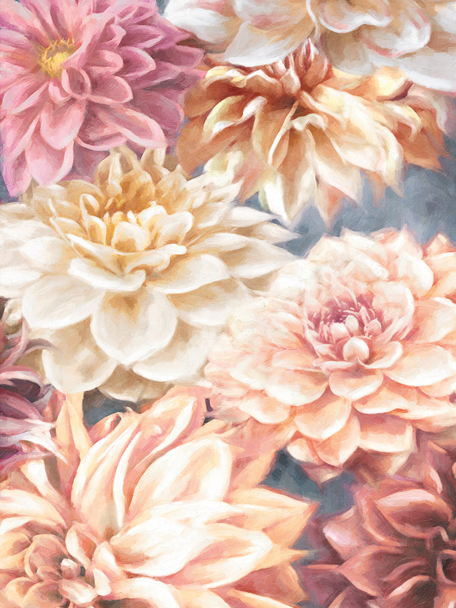 Dalias suaves Lienzo