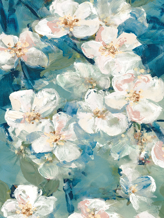 Apple Blossoms Canvas Print