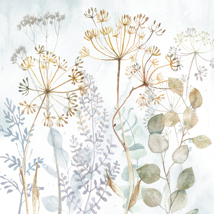 Watercolor Wildflower