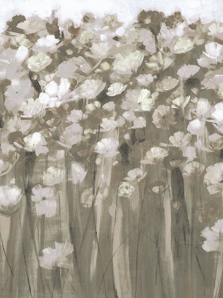 Filed Of Tulips