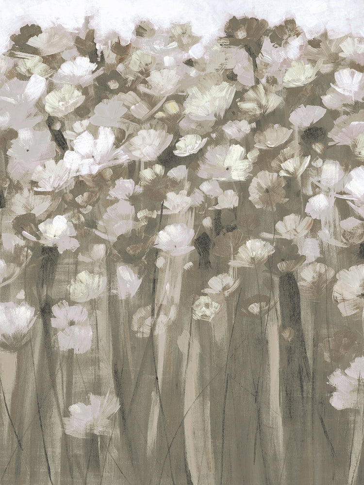 Filed Of Tulips