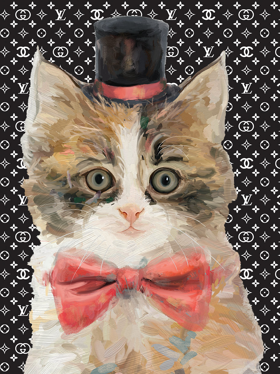 Top Hat Cat I
