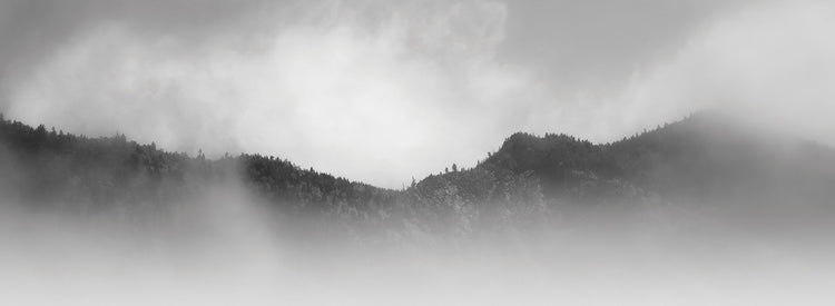 Smoky Mountain Mood