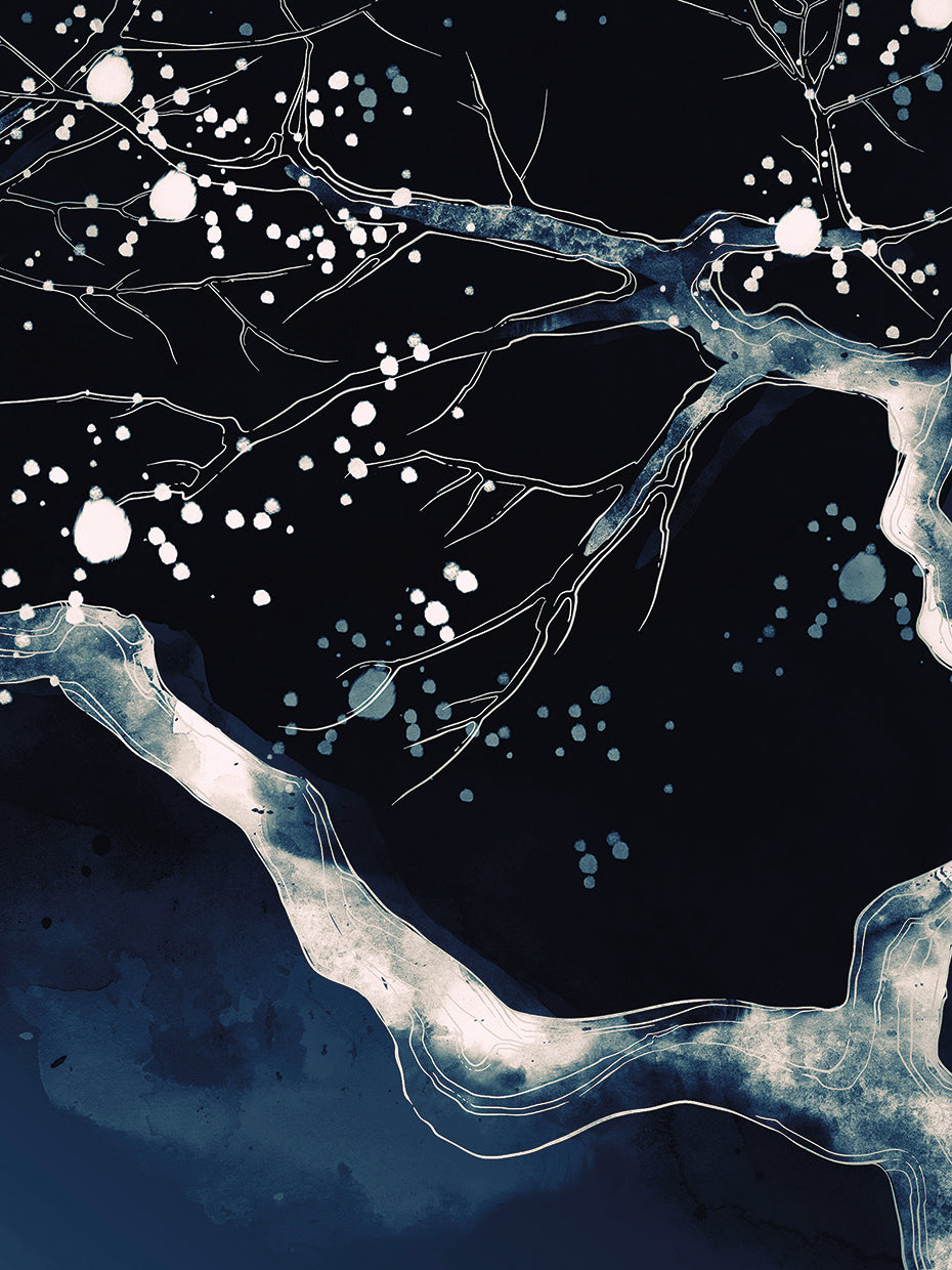 Cherry Blossom Branch