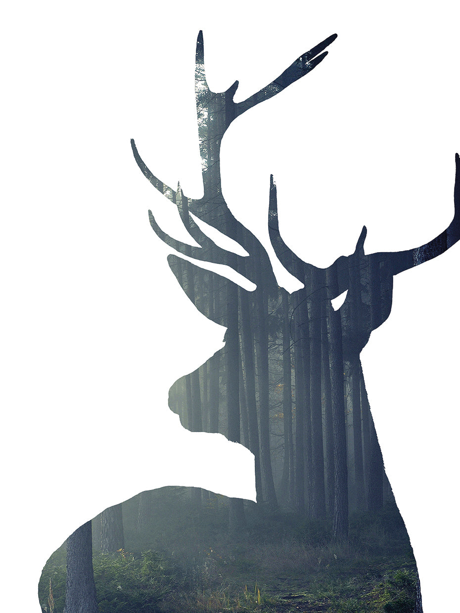 Forest Deer Silhouette