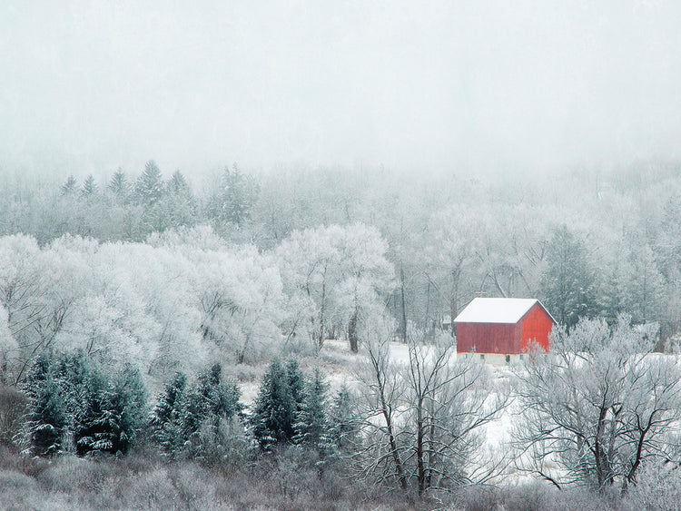 Red Barn