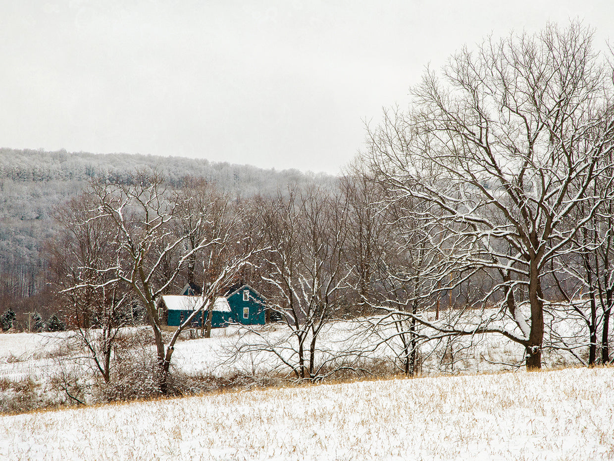 Teal Farmhouse