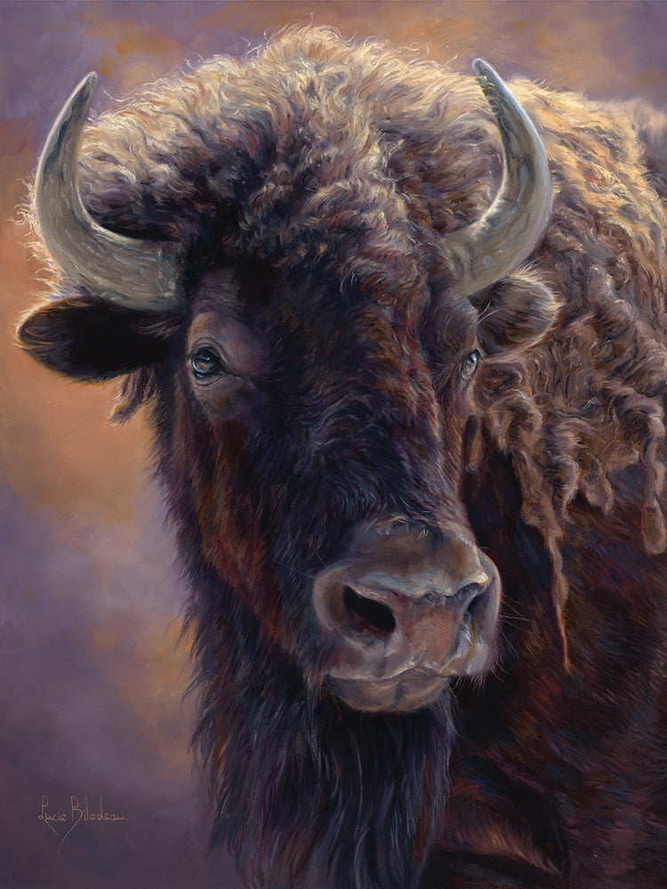 Portrait of a Bison