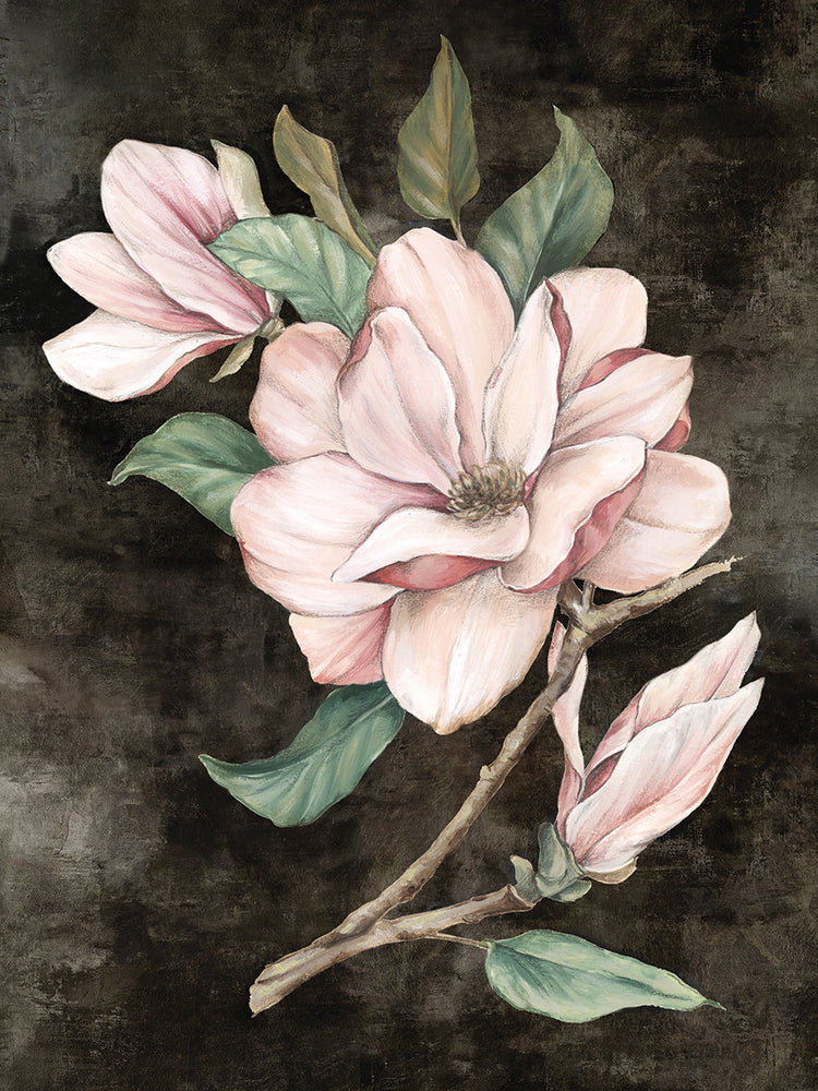 Pink Magnolia I