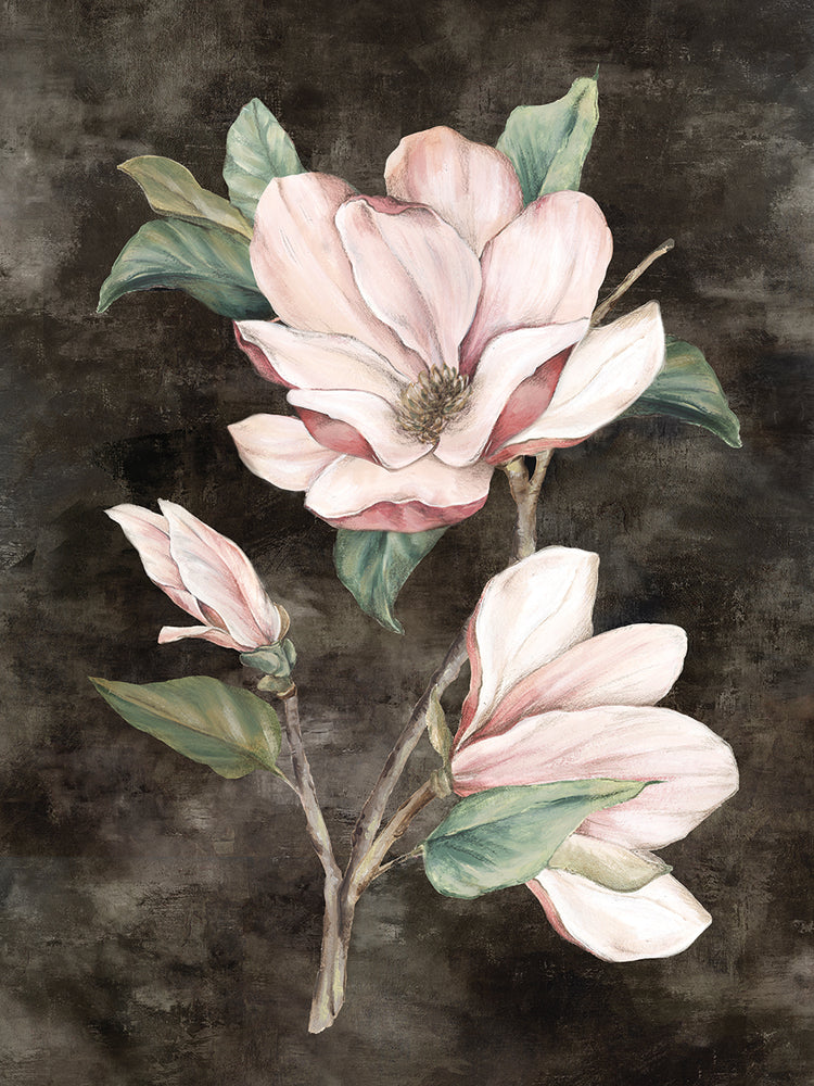Pink Magnolia II