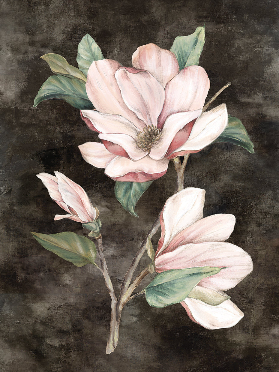 Pink Magnolia II