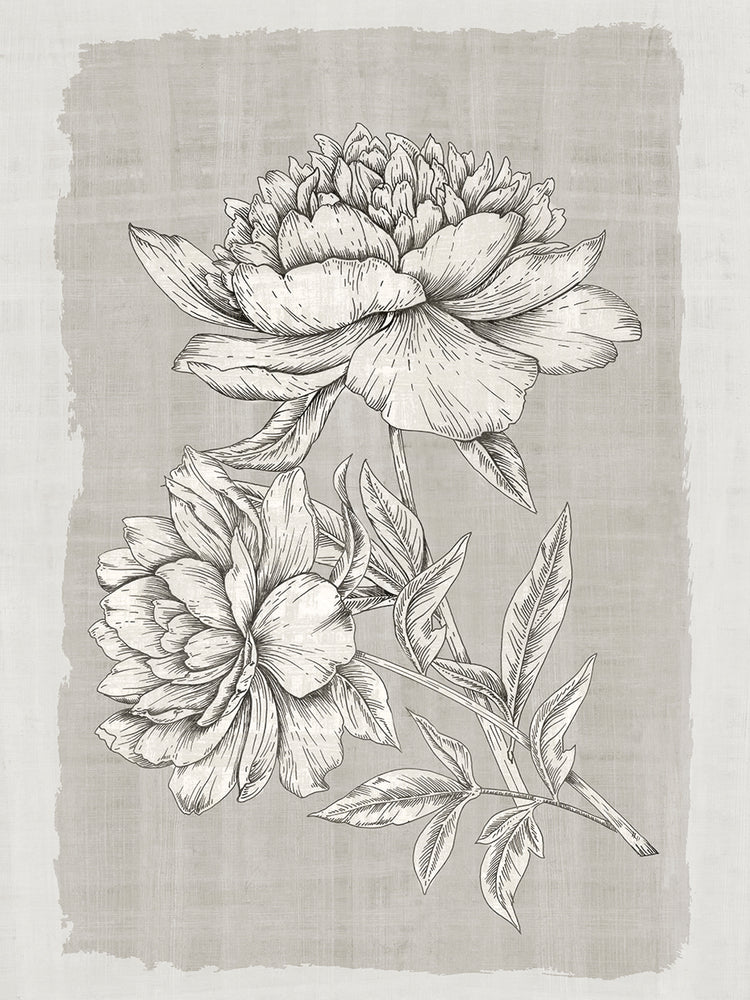 Botanical Linen I