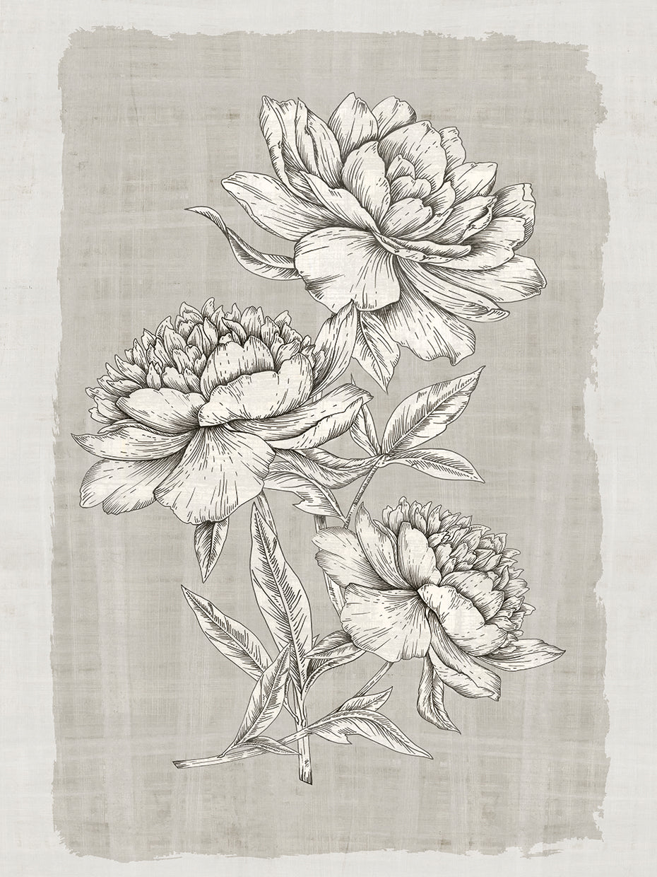 Botanical Linen II