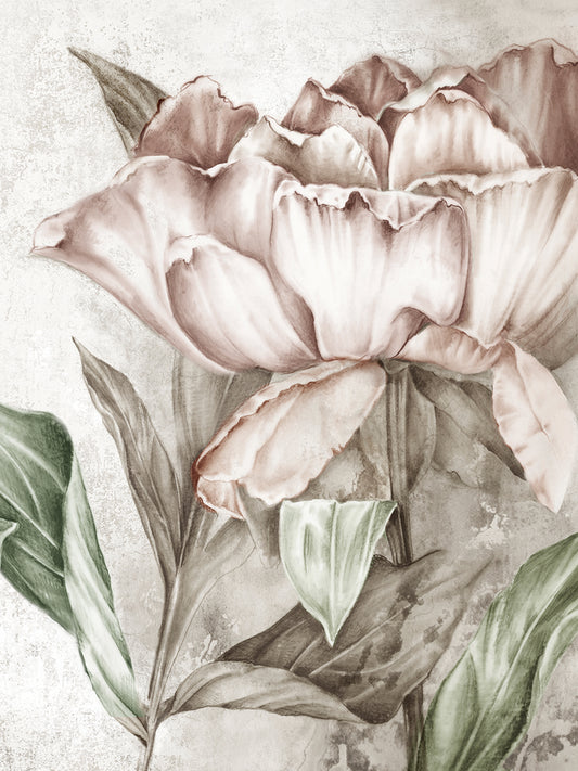 Blush Botanical Canvas Print
