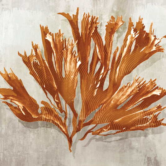 Rustic Coral I Canvas Print